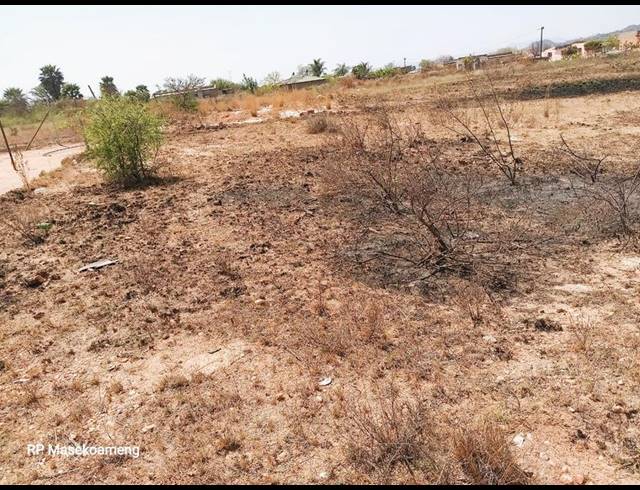 LAND FOR SALE IN MANKWENG